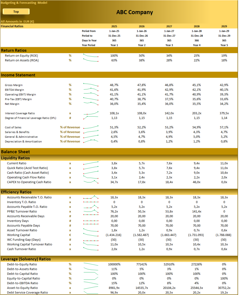 Budgeting and Forecasting Financial Model