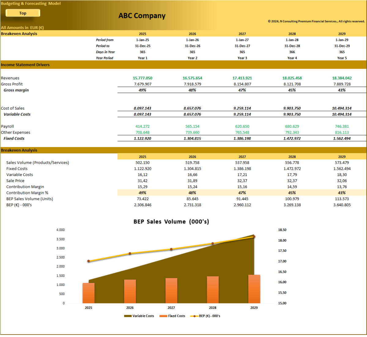 Budgeting and Forecasting Financial Model