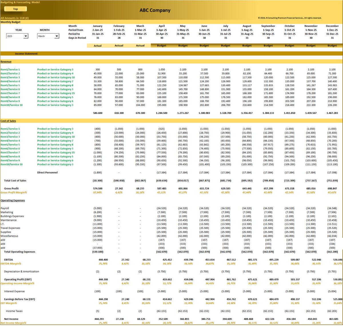 Budgeting and Forecasting Financial Model