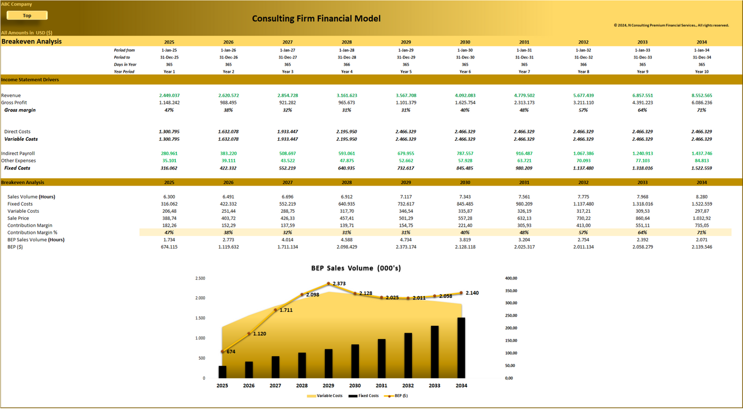 Consulting Firm – 10-year Financial Model