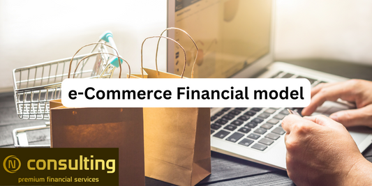 E-Commerce Startup Company (5-year) Financial Forecast Model